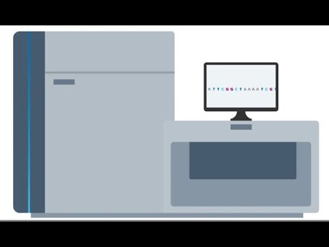 Whole genome sequencing: From sample to report