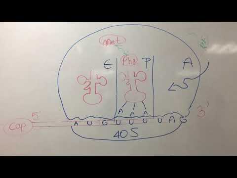 download lagu mp3 mp4 To Board Traduccion, download lagu To Board Traduccion gratis, unduh video klip To Board Traduccion