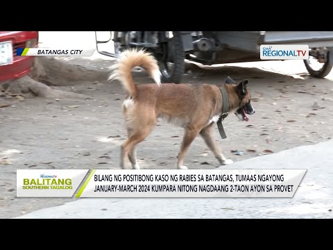 Balitang Southern Tagalog: Bilang ng positibong kaso ng rabies sa Batangas, tumaas