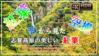 Download the video "【志賀高原】空から見た絶景の紅葉🍁2025.10.18"