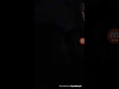 Romano Rap 2070 Tigers Emsy &Sem Ste