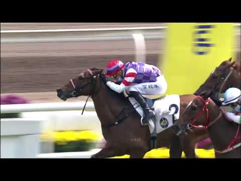 17/1/2021 (346) Golden Link - A Hamelin