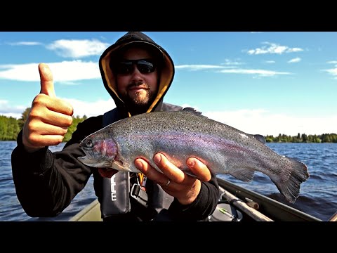 KIRJOLOHTA OULUJOELTA - KALAN SAVUSTUS SÄHKÖSAVUSTIMELLA