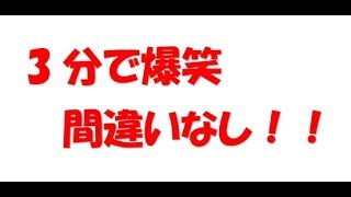 3分見るだけで大爆笑！『なぜなにどうぶつらんど』バカゲー実況【くろねこ】