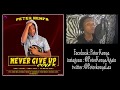 Harmonize - Never Give Up [cover by Peter Kenya]