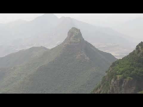 Alemayehu Hafte (Raya)  New Ethiopian Traditional Tigrigna Raya music 2019