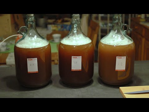 Den kompletten Fuller's Parti-Gyle nachbrauen - 3 Biere aus einem Sud! | Brautag #28