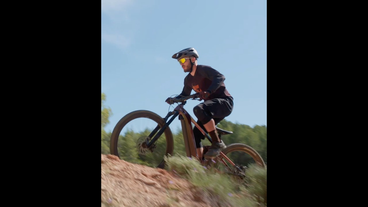 Giant Elektrisches MTB | Größe L | Für Wege und Pfade | Leistungsstarker Motor und Große Reichweite