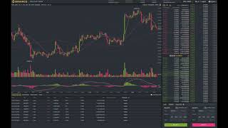 Xrp trading 12-24-18 Daily Trading using binance