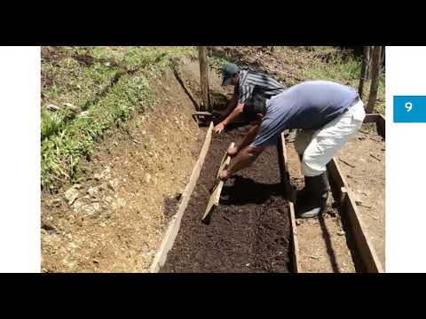 I.DISEÑO, INSTALACIÓN Y MANEJO DE UN VIVERO FORESTAL