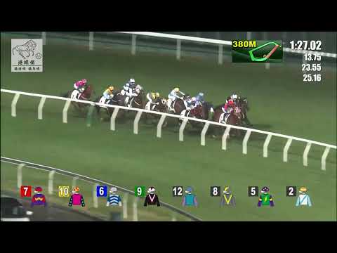 港經佬賽事重溫｜15-12-2021 谷草夜馬第五場賽事重溫 (257)｜白鷺飛翔 Sacred Ibis (A127)｜周俊樂 C L Chau｜苗禮德 A T Millard｜免費心水及賽馬貼士