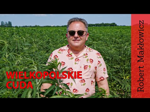 ROBERT MAKŁOWICZ POLSKA odc.53 „Wielkopolskie cuda".