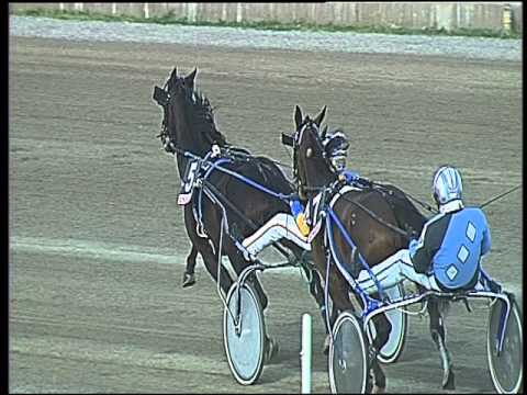 Trotto 26/02/2016 - 2° corsa