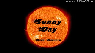 Dave Navarro - Sunny Day