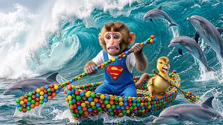 Download lagu Adorable Monkey Mono Saves Ducklings and Puppy, Then Goes Fishing in Floodwater mp3