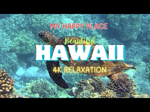 Experience Pure Magic in Hawaii 4K Nature Adventure! Relaxation Travel