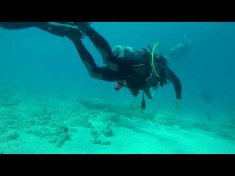Michael Scalar Florida Keys Dive Trip