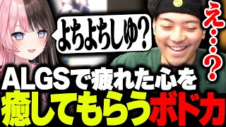 鼻の下伸びてるのまじで面白い - ALGSウォチパで疲弊した心をVTuberに癒してもらうボドカ【ボドカ/橘ひなの/猫汰つな/APEX】