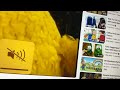 3824 Big Bird