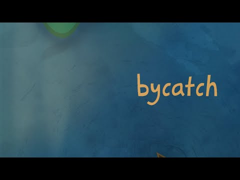Bycatch | PUP - Manila