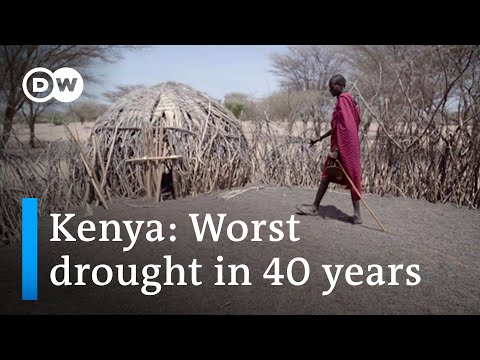 Four consecutive rainy seasons have failed in northern Kenya | DW News