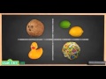 Sesame Street Science Sink Or Float START THE EXPERIMENT HERE212