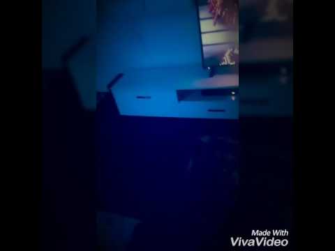 Toni Rapp Toni Montana mg