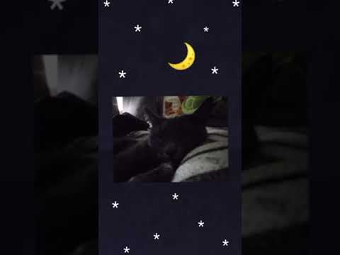 H3artcrush ft.Punkinloveee - corpse makeout (instrumental / минус).