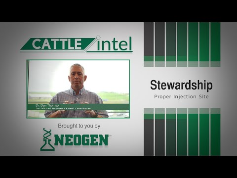 Cattle Intel | Dr. Dan Thomson on Proper Injection Sites in Cattle