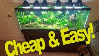 DIY Lighting for Your Planted Tank: Cheap and Easy!