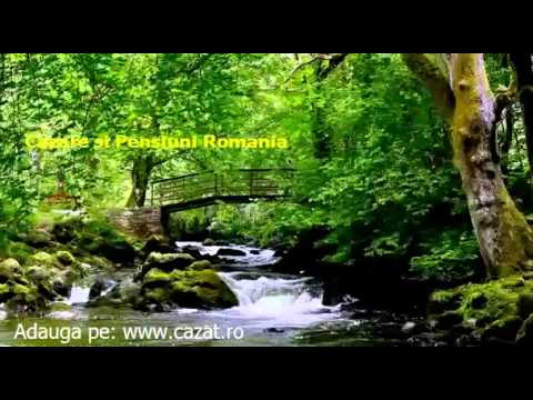 Cazare Lupoaia, Valcea - Cazat.ro