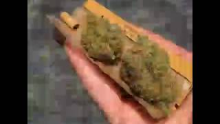 Weed GIF
