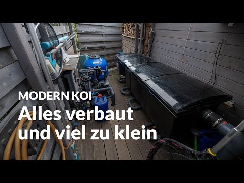 Dietmar's drum filter with connecting biology | Modern Koi Blog #6669