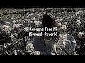 Kangana Tera Ni Slowed Reverb Aesthetic Audio Edit Subscribe Aesthetic Foryou