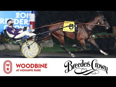 2019 Breeders Crown Final: 3YO Colts & Geldings Trot | Woodbine At Mohawk Park, October 26 – Race 7