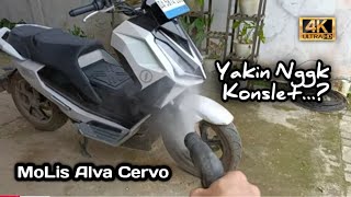 Cuci MoLis Alva Cervo Menggunakan Jet Steam, Aman....??? Gassss