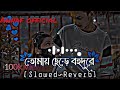 তোমায় ছেড়ে বহুদূরে যাব কোথায়  (Bangla Lofi Music 🎵🎶🎶)