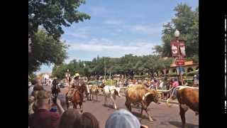 Fort Worth and Dallas - Jimmie Dale Gilmore