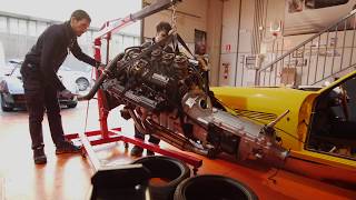 Celebramos los 20 años.