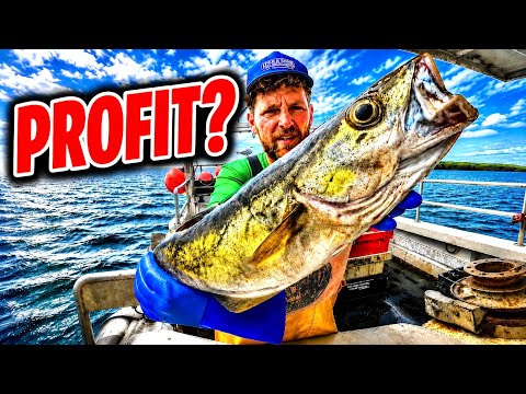 How Much I Made Catching Monster Pollock!