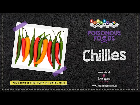 Can Dogs Eat Chillies?