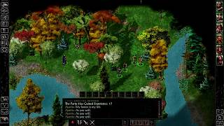 Finally Inside - Let's Play Baldur's Gate Part 103