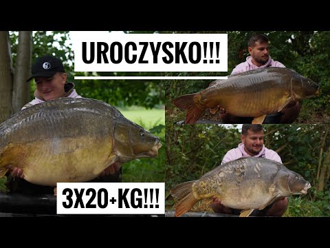 3 TWENTIES IN ONE NIGHT AT THE FESTIVAL!!! - TIME FOR A CARP FESTIVAL!!!