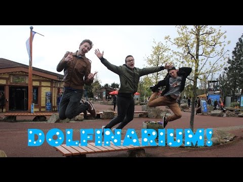 Een SplashDag in Dolfinarium! [SplashPoint]