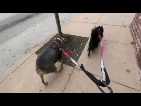 20220418 to 20220424 Boorish Slice of Life