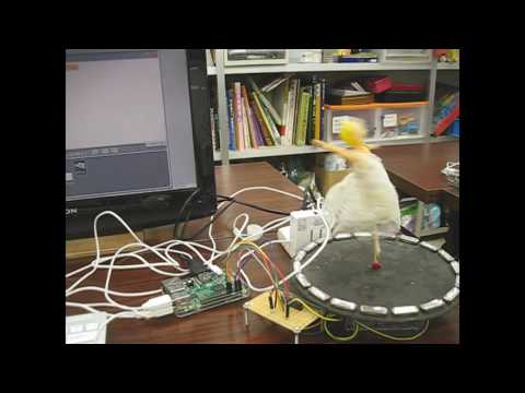 AS-Piクラス　プログラミング作品