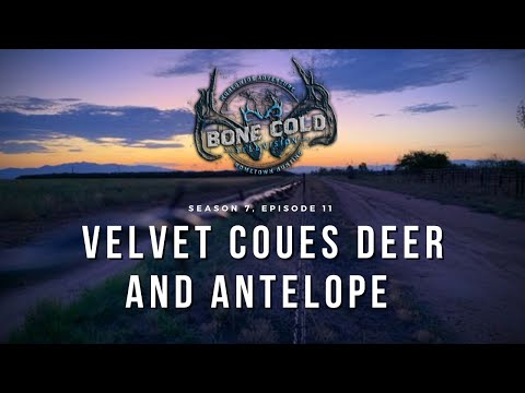 Season 7 Episode 11 Velvet Coues Deer and Antelope