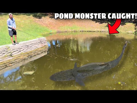 I Finally CAUGHT The POND MONSTER! (My Biggest Fish Ever)