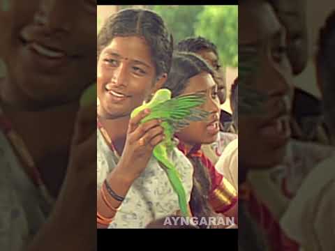 Putham Puthu Paattu - 4K Song now in Ayngaran YT | புத்தம் புது பாட்டு வந்தா | Thendral | #shorts