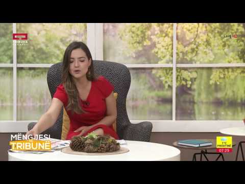 Mëngjesi në Tribunë - 20.04.2017